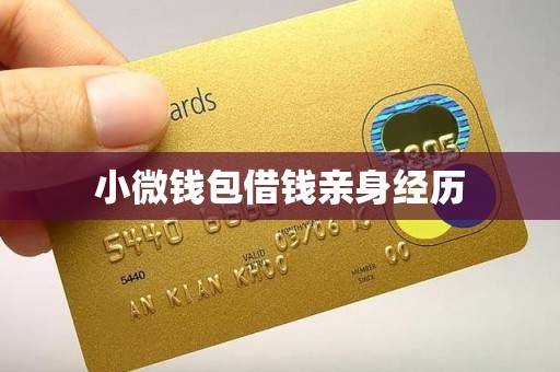 小微钱包借钱亲身经历