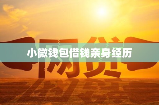 小微钱包借钱亲身经历