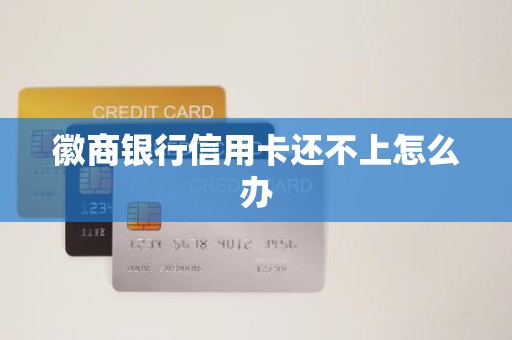 徽商银行信用卡还不上怎么办