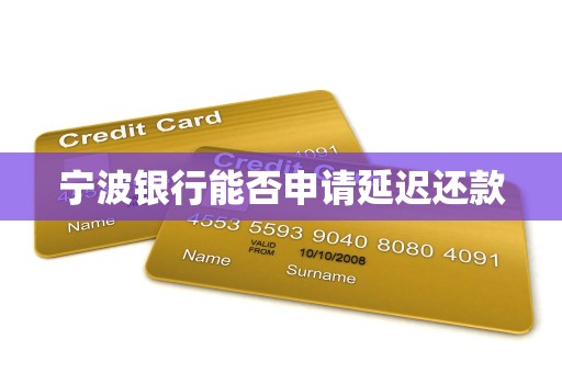宁波银行能否申请延迟还款