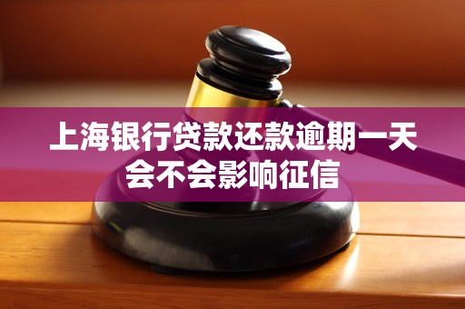 上海银行贷款还款逾期一天会不会影响征信