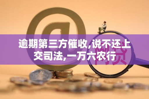 逾期第三方催收,说不还上交司法,一万六农行