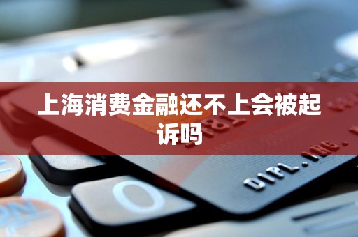 上海消费金融还不上会被起诉吗