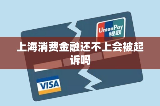 上海消费金融还不上会被起诉吗