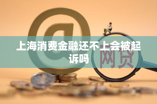 上海消费金融还不上会被起诉吗
