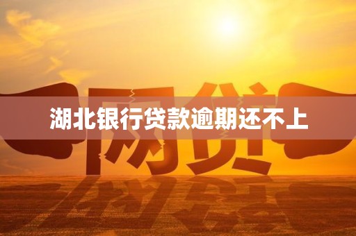 湖北银行贷款逾期还不上 湖北银行贷款逾期还不上