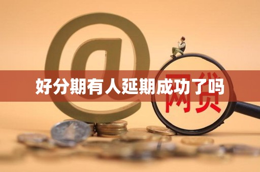 好分期有人延期成功了吗