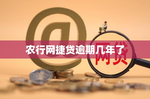 农行网捷贷逾期几年了 农行网捷贷逾期几年了