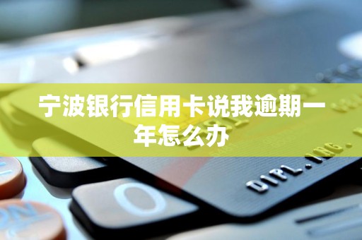 宁波银行信用卡说我逾期一年怎么办 宁波银行信用卡说我逾期一年怎么办