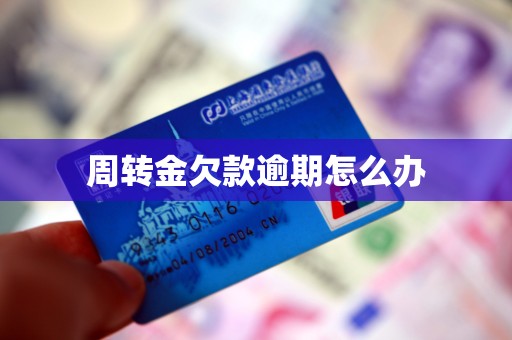 周转金欠款逾期怎么办