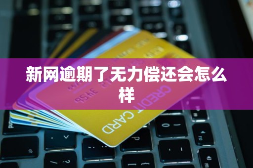 新网逾期了无力偿还会怎么样 新网逾期了无力偿还会怎么样