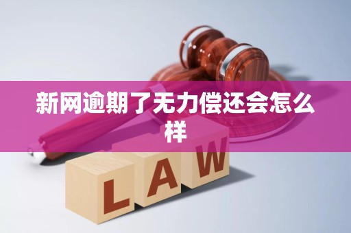 新网逾期了无力偿还会怎么样 新网逾期了无力偿还会怎么样