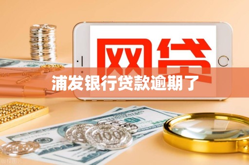 浦发银行贷款逾期了