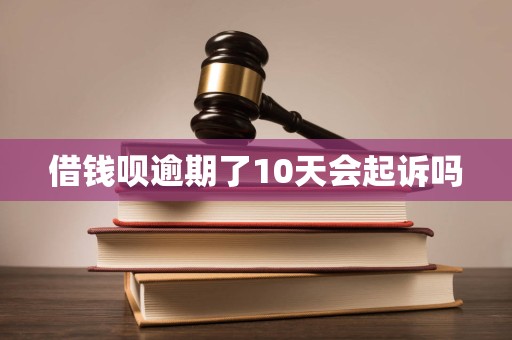 借钱呗逾期了10天会起诉吗