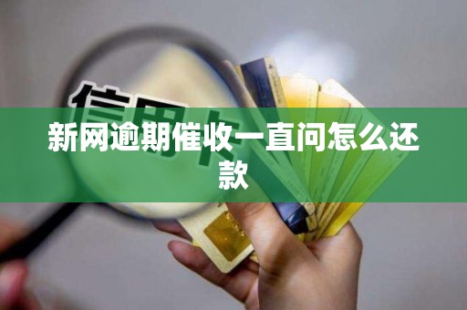 新网逾期催收一直问怎么还款