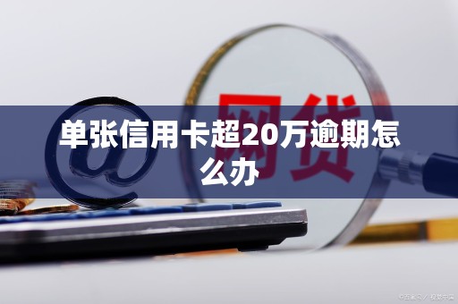 单张信用卡超20万逾期怎么办 单张信用卡超20万逾期怎么办