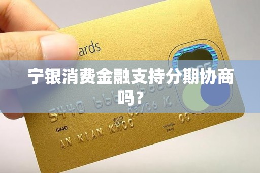 宁银消费金融支持分期协商吗？