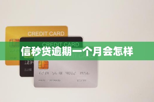 信秒贷逾期一个月会怎样