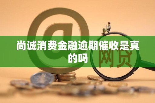 尚诚消费金融逾期催收是真的吗