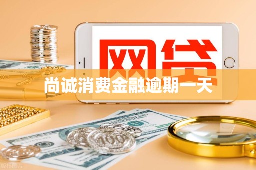 尚诚消费金融逾期一天