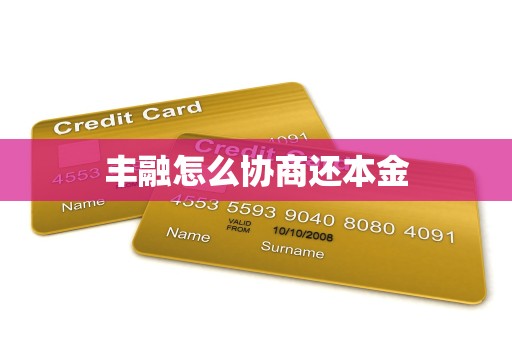 丰融怎么协商还本金