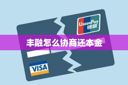 丰融怎么协商还本金