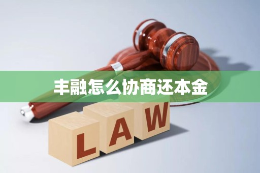 丰融怎么协商还本金