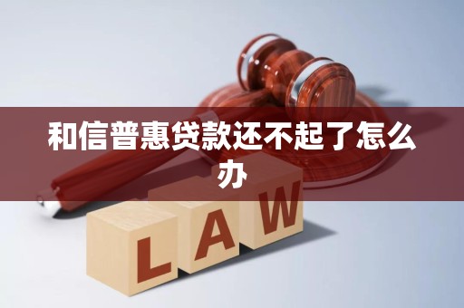 和信普惠贷款还不起了怎么办 和信普惠贷款还不起了怎么办