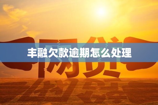 丰融欠款逾期怎么处理