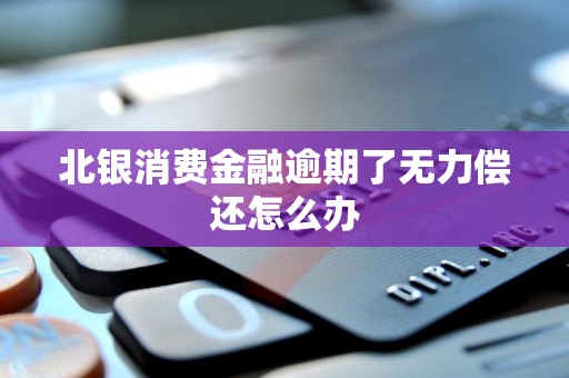 北银消费金融逾期了无力偿还怎么办