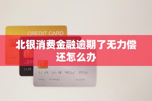 北银消费金融逾期了无力偿还怎么办