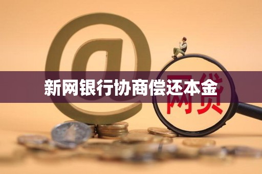 新网银行协商偿还本金
