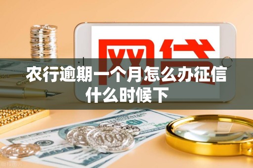 农行逾期一个月怎么办征信什么时候下