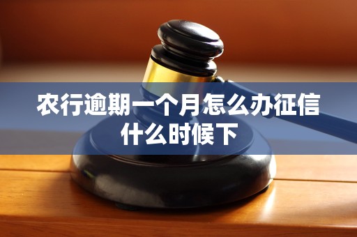 农行逾期一个月怎么办征信什么时候下
