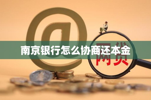 南京银行怎么协商还本金