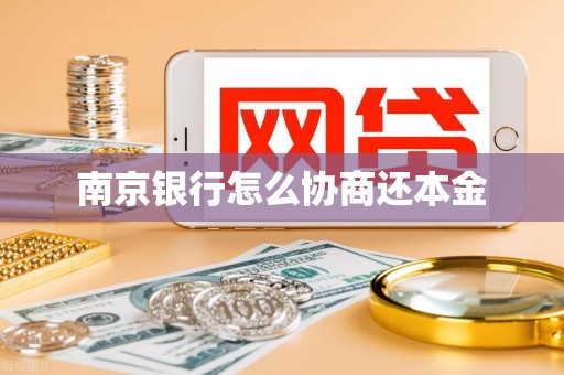南京银行怎么协商还本金