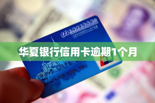 华夏银行信用卡逾期1个月 华夏银行信用卡逾期1个月