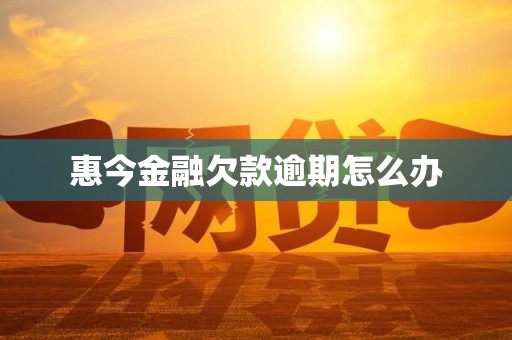 惠今金融欠款逾期怎么办