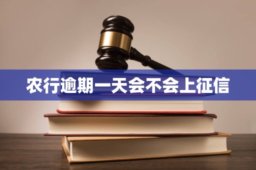 农行逾期一天会不会上征信