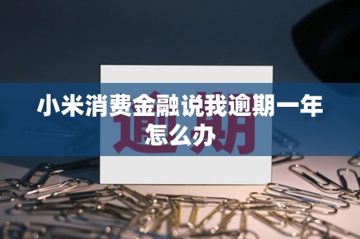 小米消费金融说我逾期一年怎么办