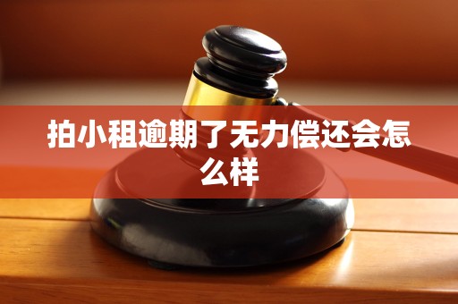 拍小租逾期了无力偿还会怎么样
