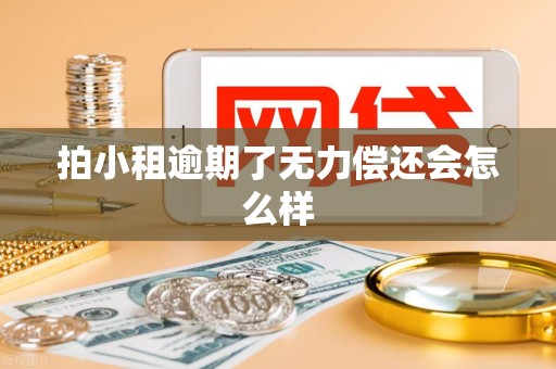 拍小租逾期了无力偿还会怎么样