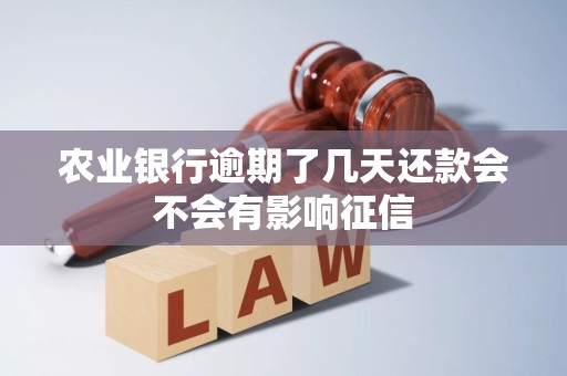 农业银行逾期了几天还款会不会有影响征信