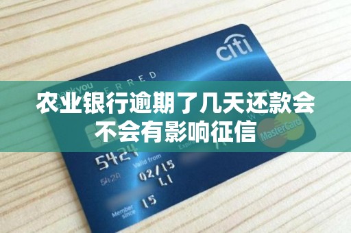 农业银行逾期了几天还款会不会有影响征信