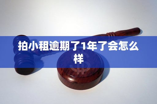 拍小租逾期了1年了会怎么样