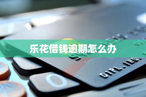 乐花借钱逾期怎么办