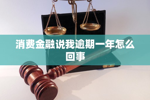 消费金融说我逾期一年怎么回事
