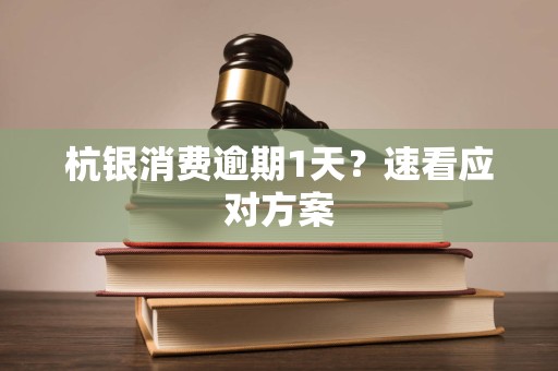 杭银消费逾期1天？速看应对方案