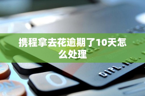 携程拿去花逾期了10天怎么处理