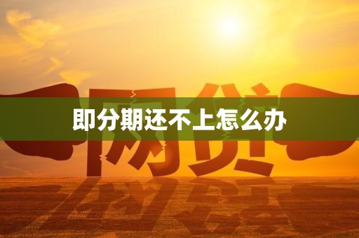 即分期还不上怎么办